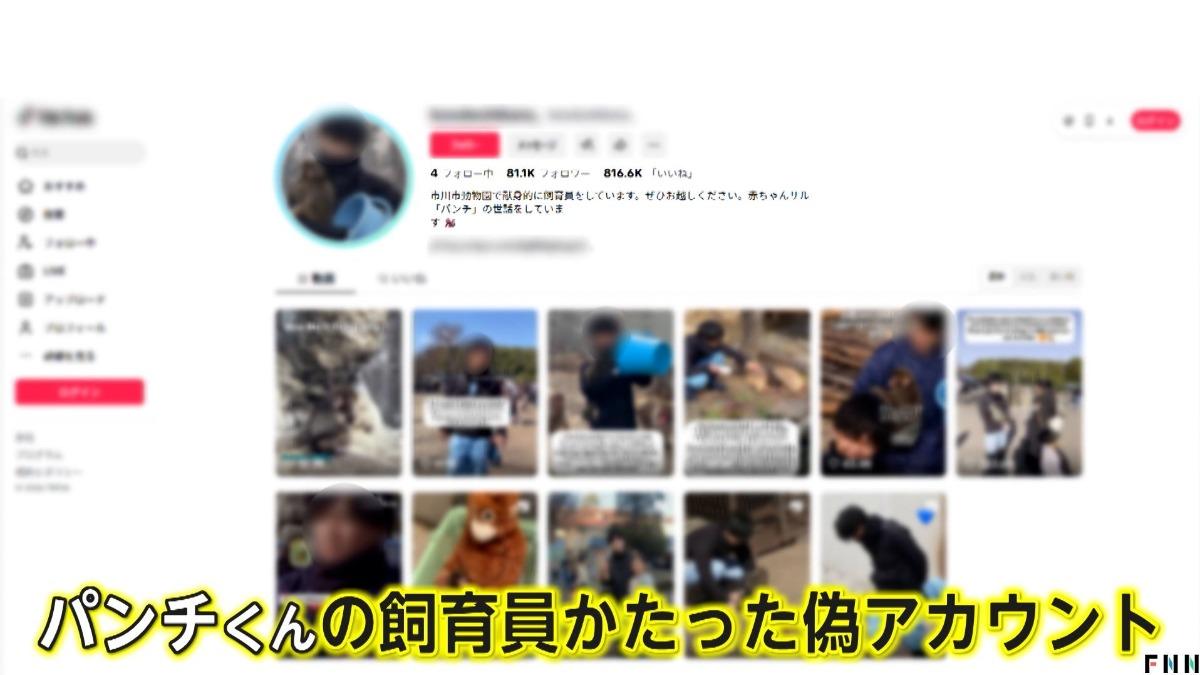 日本媒體揭露網路上出現冒充飼育員的假帳號。(圖/翻攝FNN網頁)