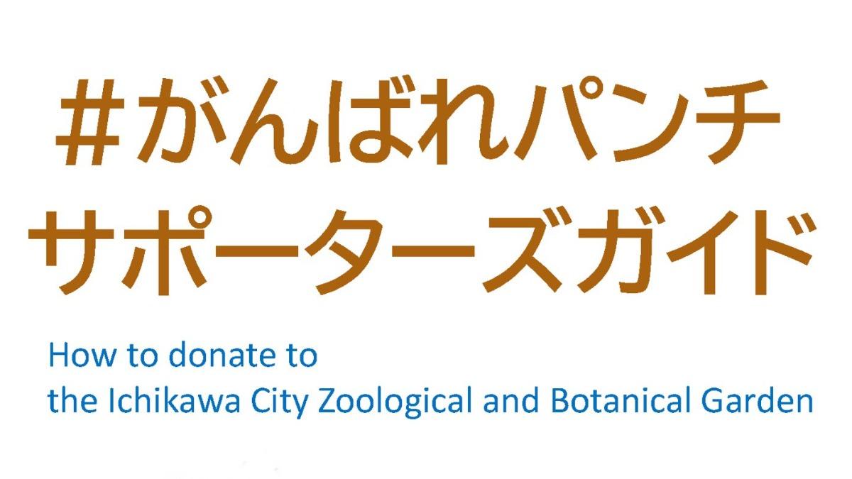 市川市動植物園已經為「Panchi君」推出官方應援指南。(圖/翻攝市川市動植物園官網)