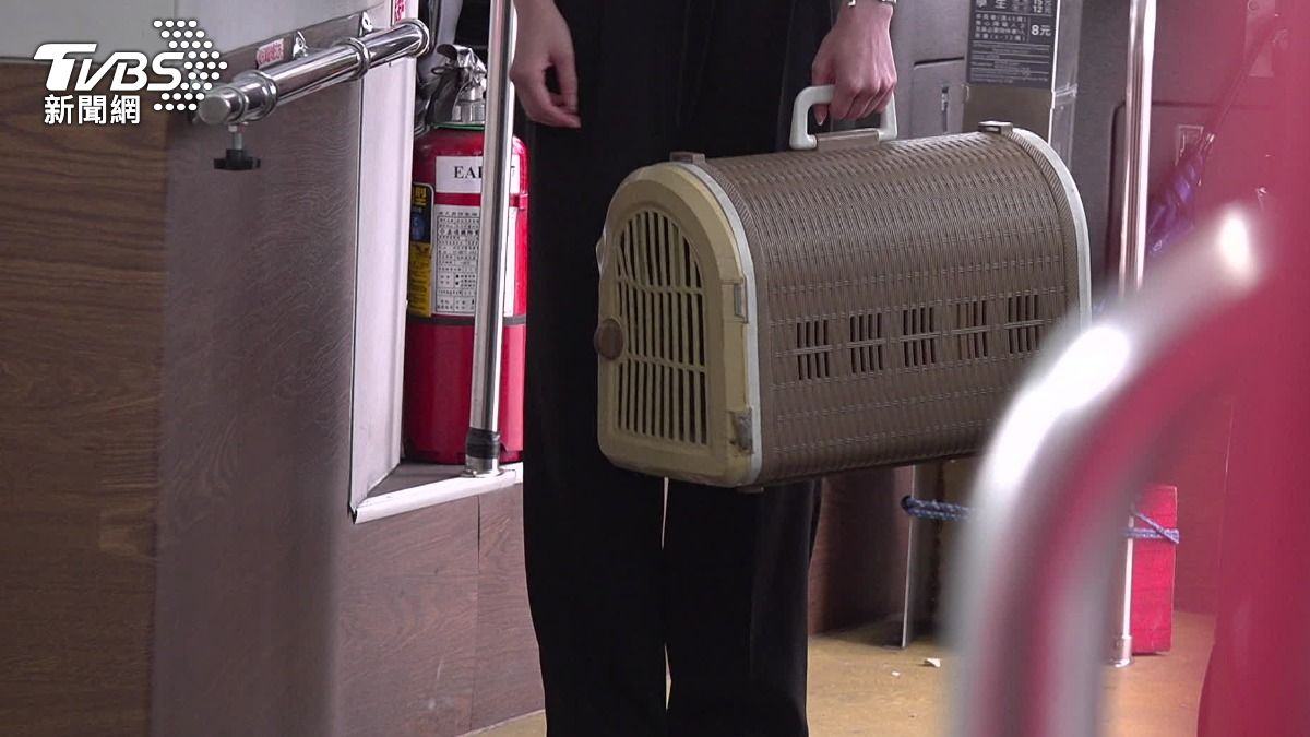 帶寵物箱上公車有規定體積不得超過長55公分、寬45公分、高40公分。(圖/TVBS)