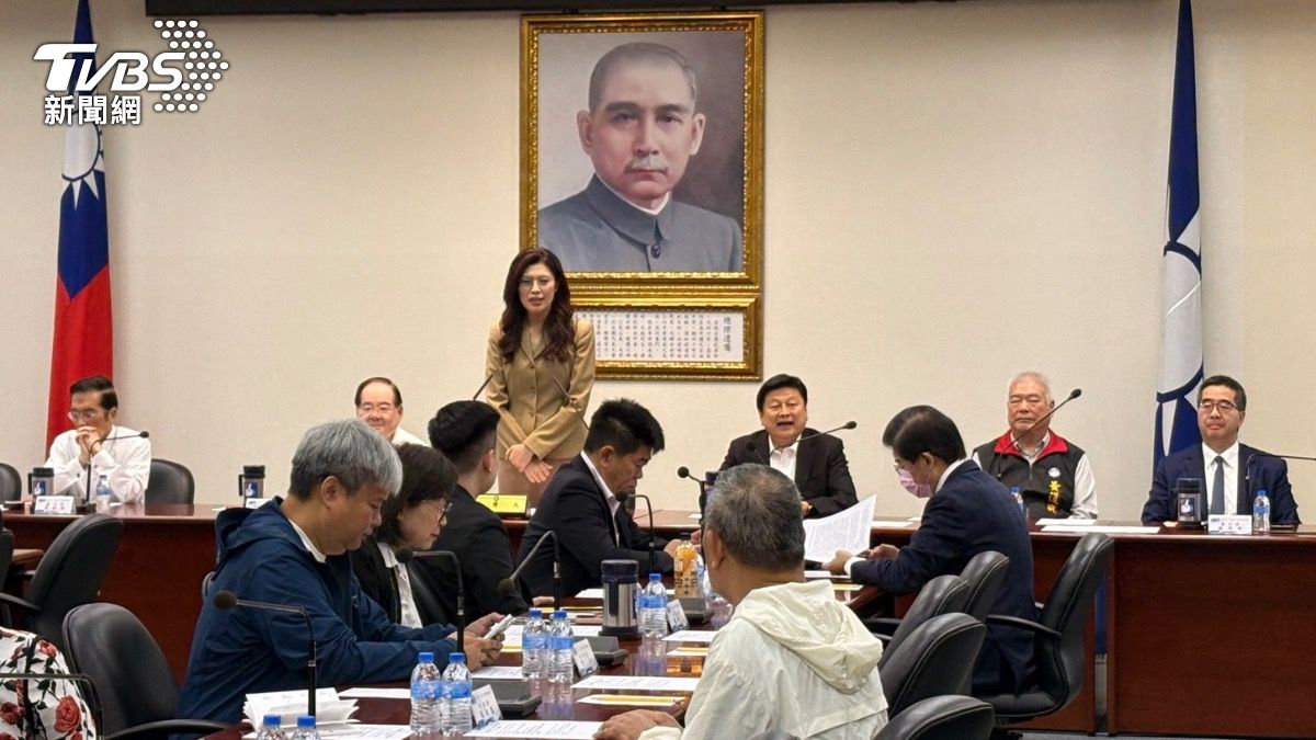 中常會聲援蕭旭岑 鄭麗文喊話黨內:別做敵人手裡的那把「刀」