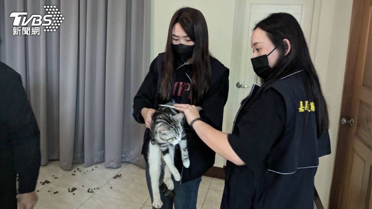 嘉義一名李姓男租客，日前無故失聯還欠房租，房東找上門後才發現一隻貓咪骨瘦如柴，已經被棄養（圖／TVBS）