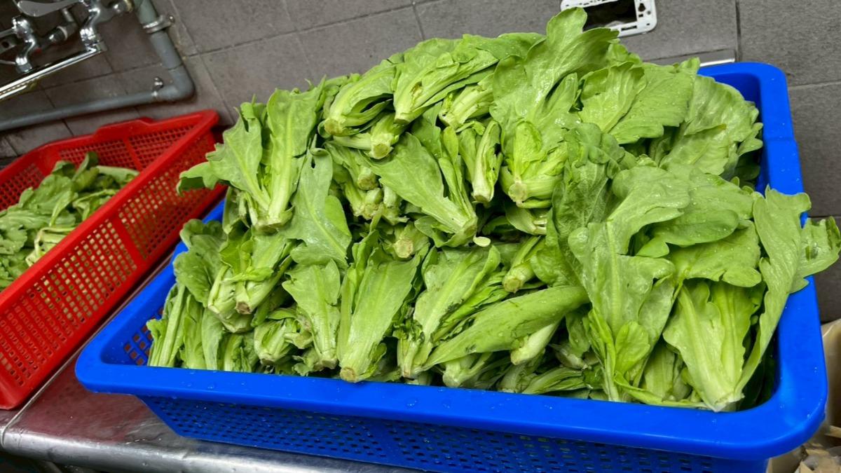台北市大安區錢都日式涮涮鍋的茼蒿檢出農藥超標。(圖/台北市衛生局提供)