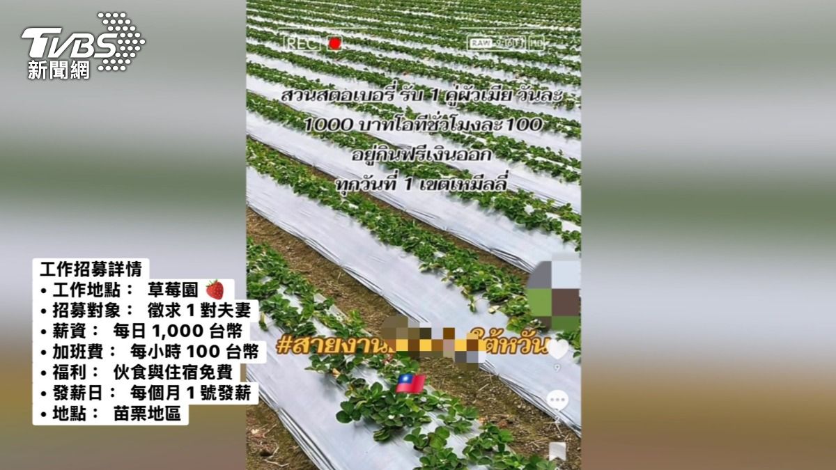 該非法仲介集團以「打工度假」為誘餌，吸引泰國偏遠山區少數民族女子來台。（圖／TVBS）