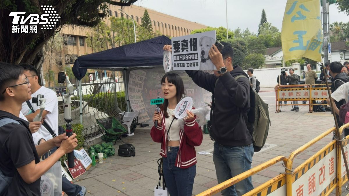 支持者小草下午13點起陸續在北院外集結。(圖/劉庭宇攝)