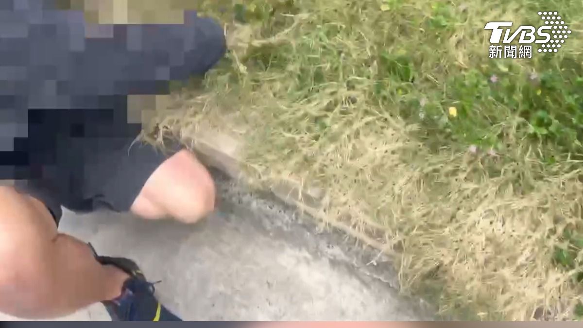 嫌犯把金項鍊丟進草叢中藏。(圖/TVBS)