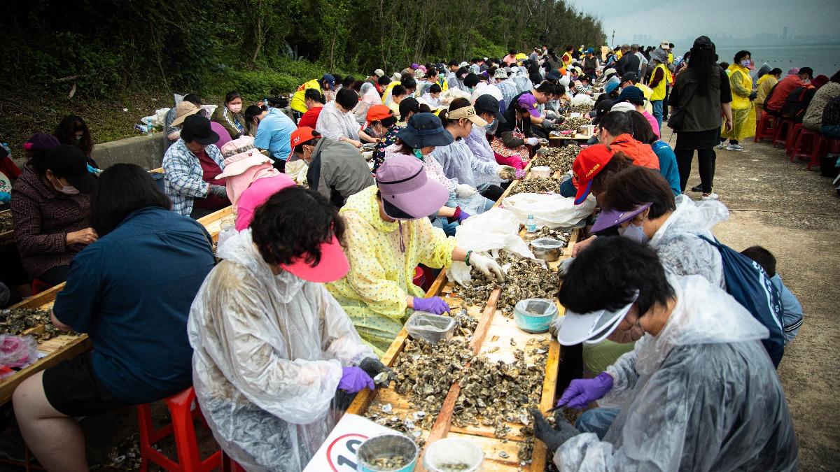 金門金寧千人盛大剝蚵。(圖/金寧鄉公所提供)