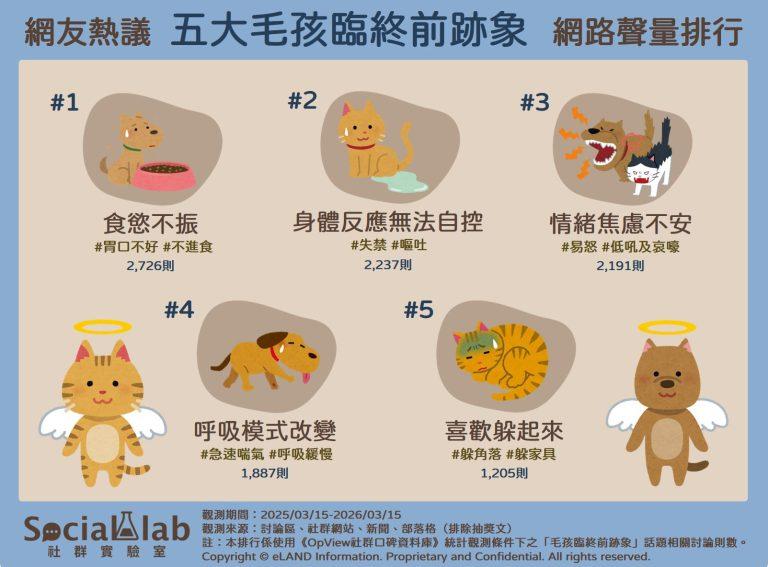 網友熱議五大毛孩臨終前跡象。(圖/社群實驗室提供)