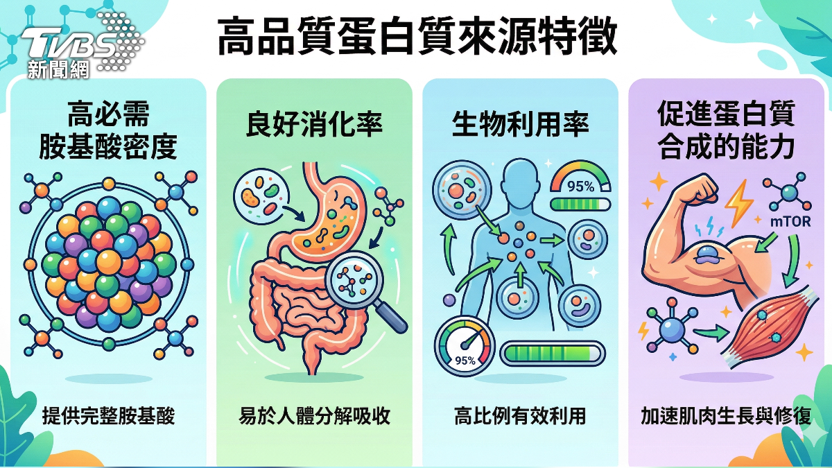 想增肌.防衰老 先吃對蛋白質！醫師教你掌握適量原則  (圖/TVBS)