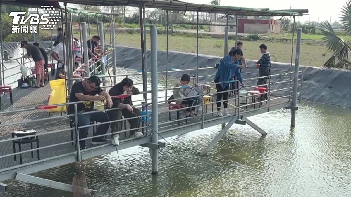 嘉義縣布袋釣蝦場推出不限時且免入場費,周末人潮湧現。(圖/TVBS)