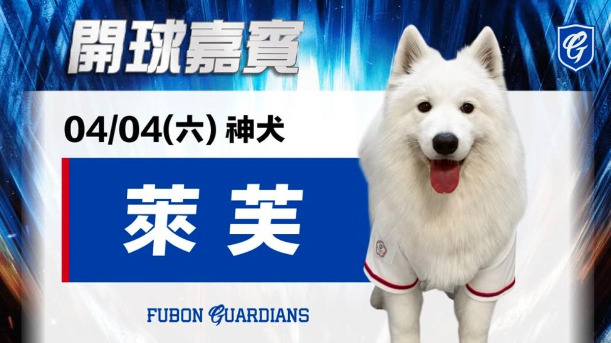 中職/WBC神預測爆紅 薩摩耶「萊芙」現身新莊為富邦悍將開球