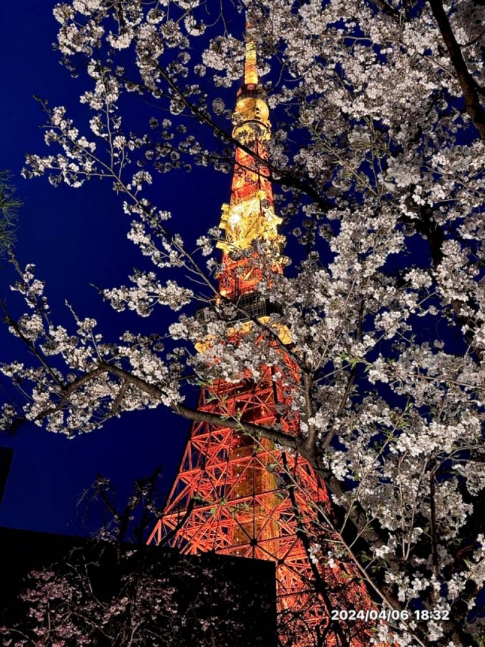 芝公園是東京最古老的公園之一。（圖／翻攝自ウェザーニュース官網）