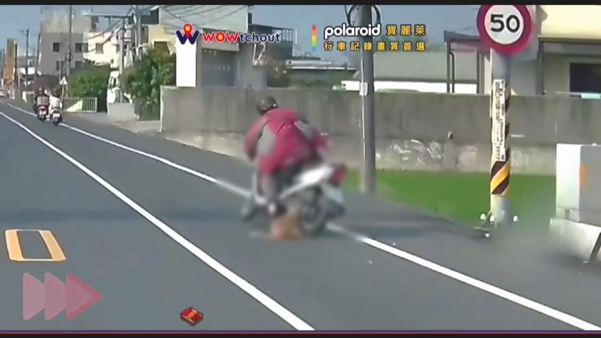 橘貓高速衝撞機車 機車騎士無辜倒地。(圖/WOWtchout)