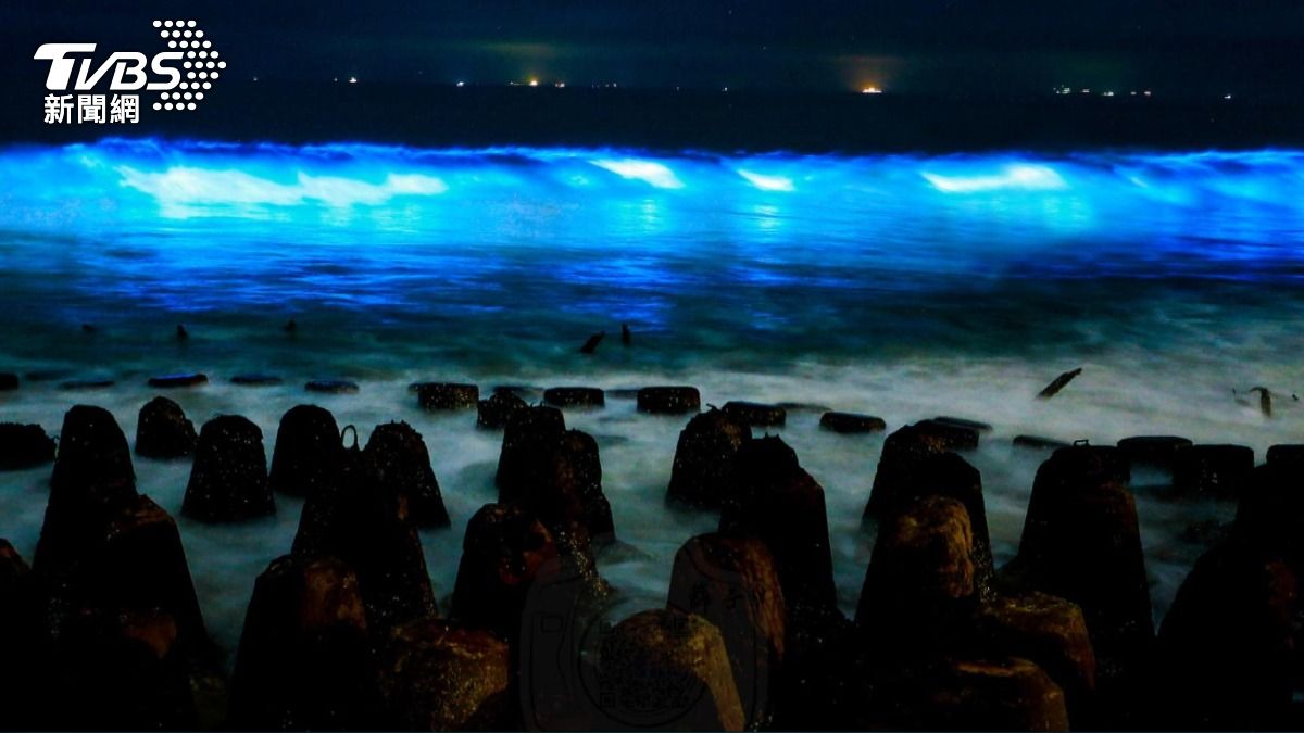 影音／夢幻藍眼淚現蹤苗栗！海面潑水秒發光　「這時段」去才看得到。(圖／TVBS資料畫面)