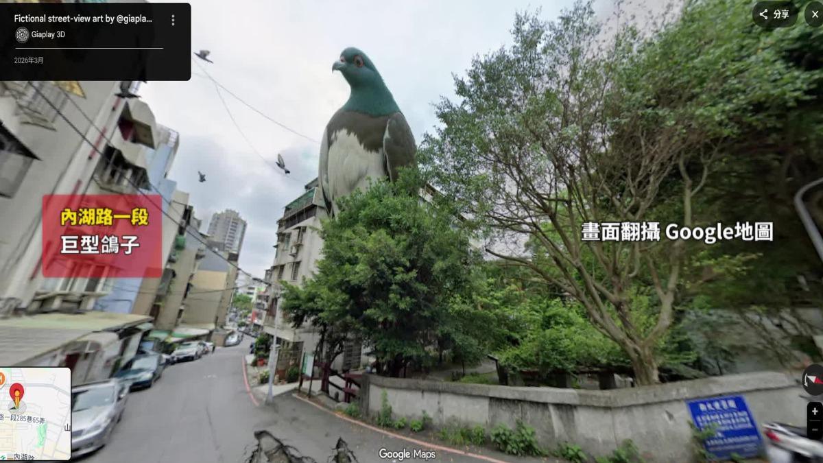 有網友透過Google地圖街景，看到巷弄出現巨型鴿子。（圖／翻攝Google地圖）