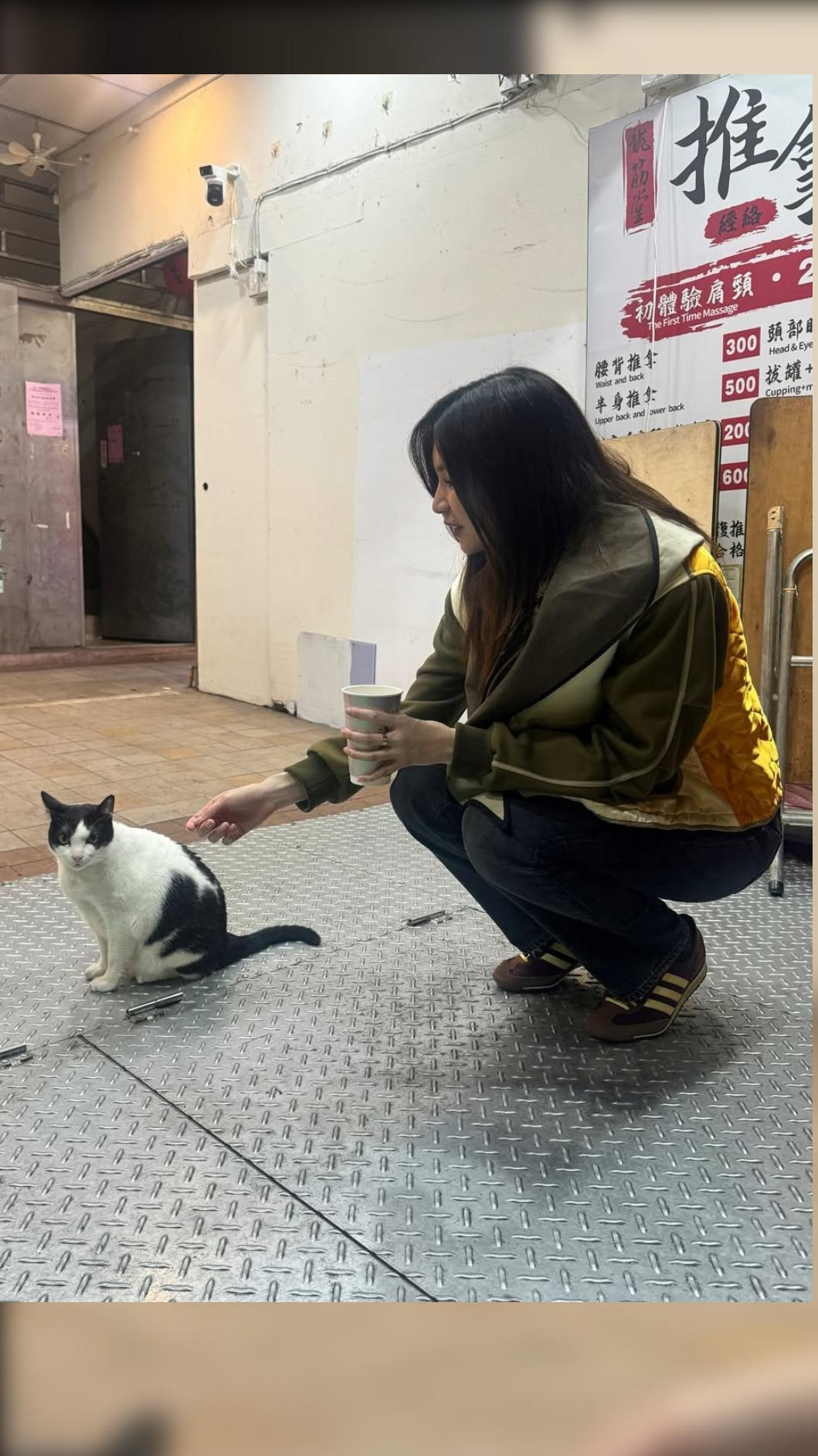 陳靜在台北街頭與貓玩樂。(圖/翻攝自IG)