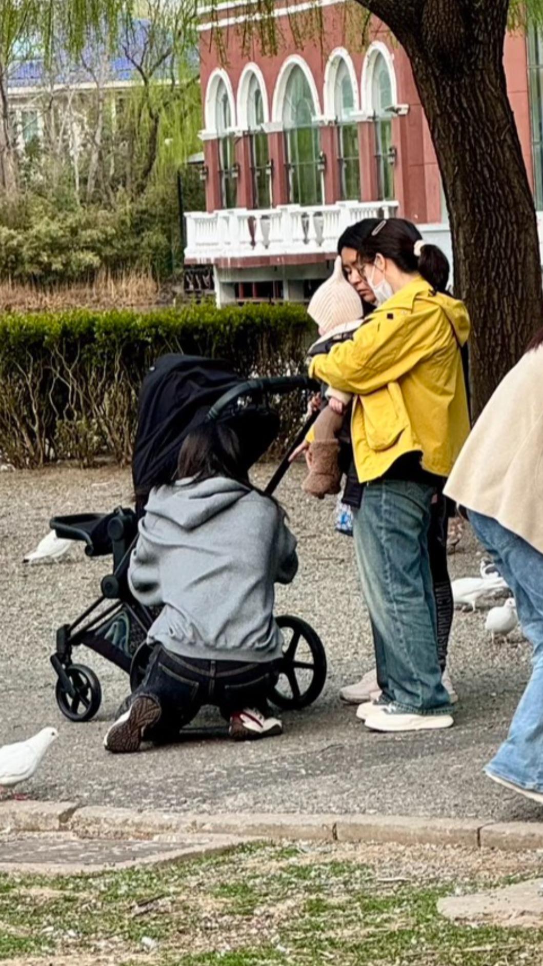 何穗遛娃被捕獲。(圖/翻攝自微博)