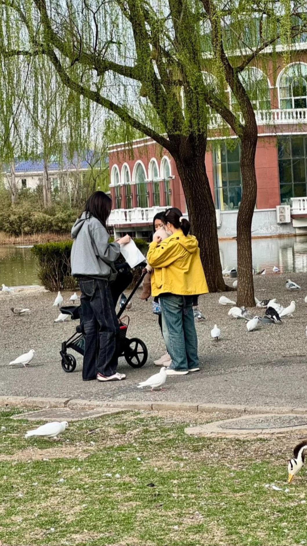 何穗遛娃被捕獲。(圖/翻攝自微博)