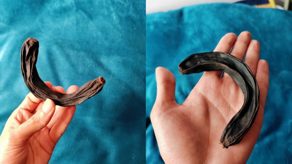 香蕉放8年沒壞!變「活化石」 照片一看全網跪了
