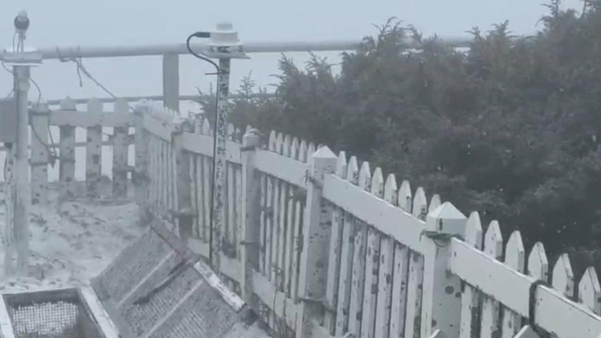 玉山下雪了!飄雪近半小時 雪白美景重現