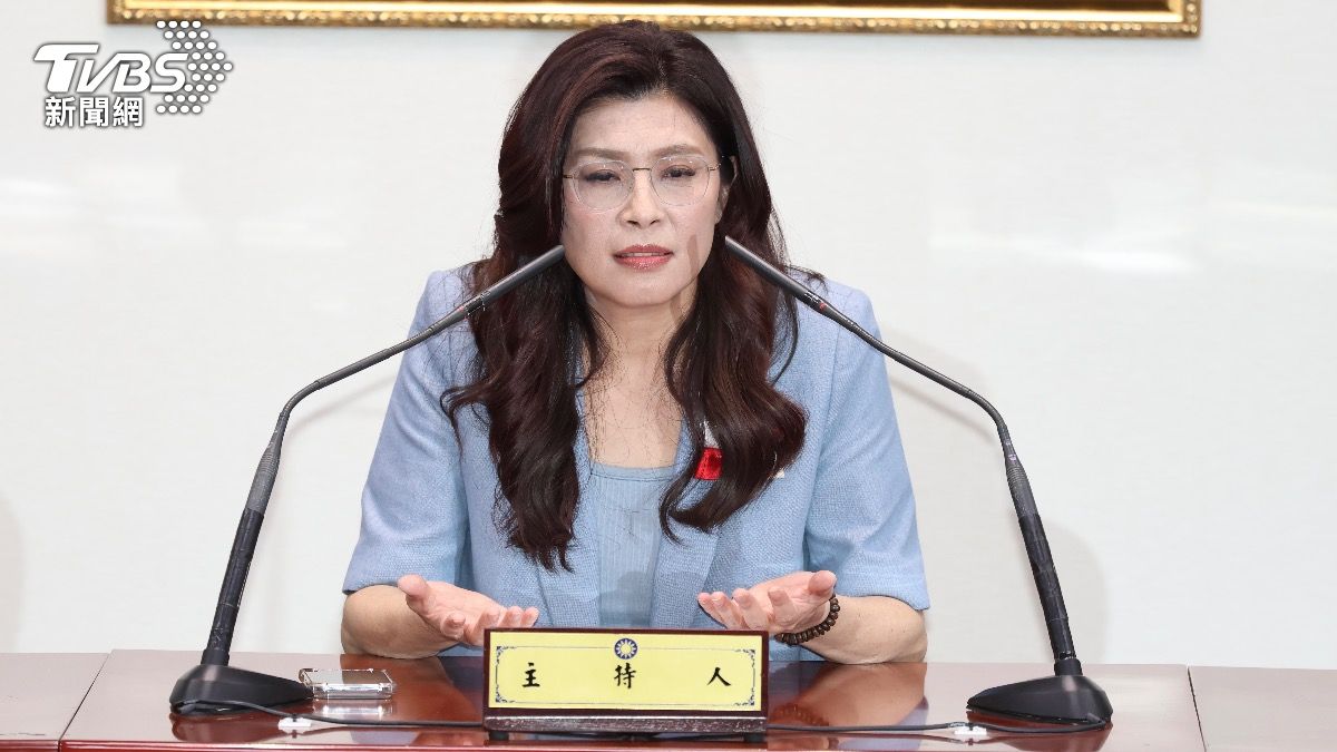國民黨主席鄭麗文。（圖／TVBS）
