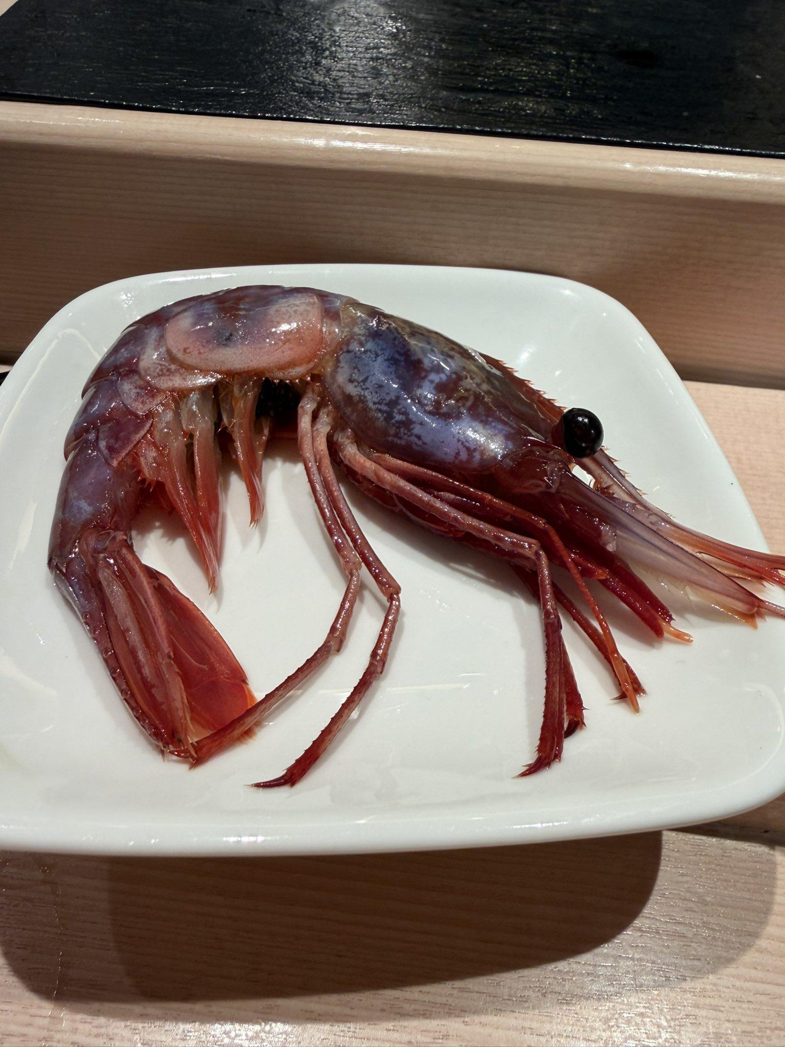「羅臼葡萄蝦」被撈上岸後,身體就會從原本的緋紅色轉為紫色,因而被稱為葡萄蝦。(圖/翻攝自yossssina推特)