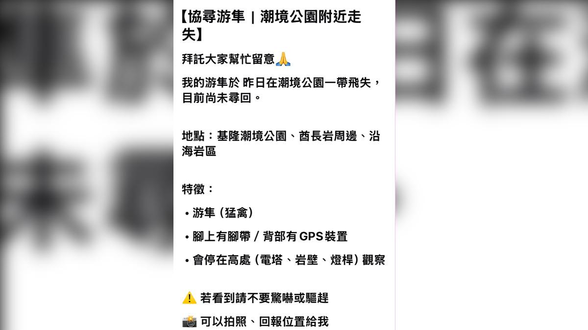 張先生日前帶著一隻飼養的「游隼」前往基隆潮境公園放飛，沒想到竟然失聯了，一去不回，連忙ＰＯ人協尋。（圖／張先生提供）