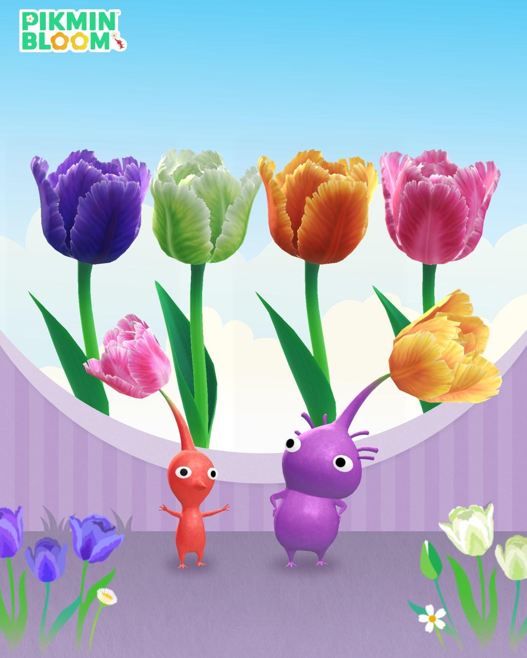 皮克敏活動-皮克敏Bloom活動-Pikmin Bloom活動-皮克敏4月活動-皮克敏活動2026-皮克敏活動時間
