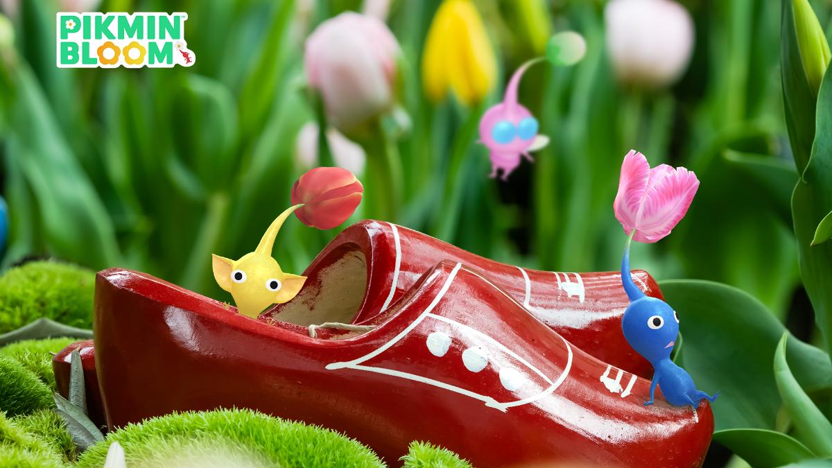 皮克敏活動-皮克敏Bloom活動-Pikmin Bloom活動-皮克敏4月活動-皮克敏活動2026-皮克敏活動時間