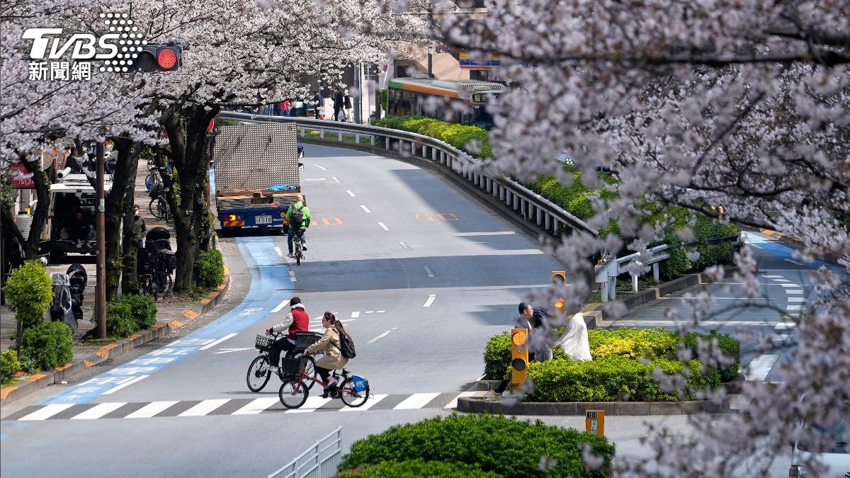 赴日開車注意!日本新規「超車須隔1公尺」網笑:一整排車跟著單車走
