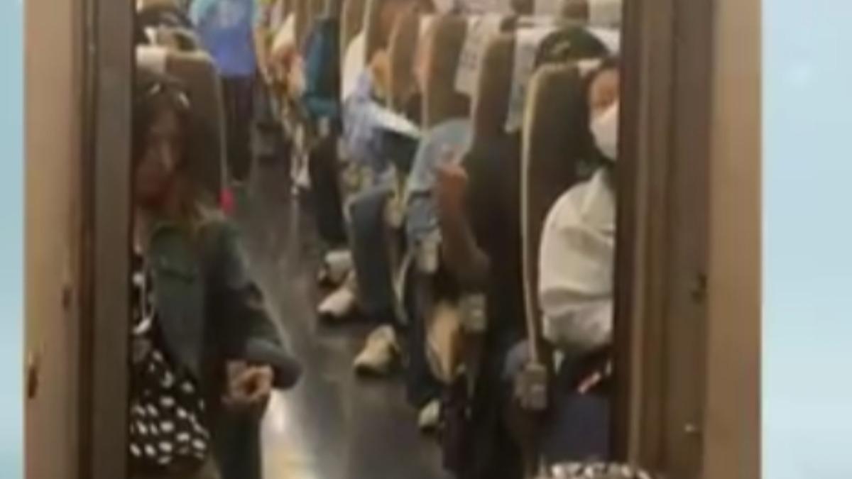 大量蚊蟲衝進大陸高鐵車廂，乘客和工作人員不斷揮手驅趕。（圖／上海台）