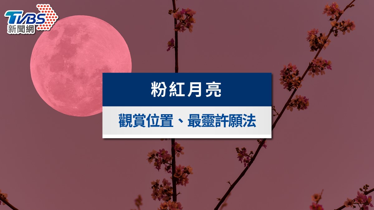 2026粉紅月亮今晚登場!台灣觀賞時間、最靈許願法與攝影技巧一次看