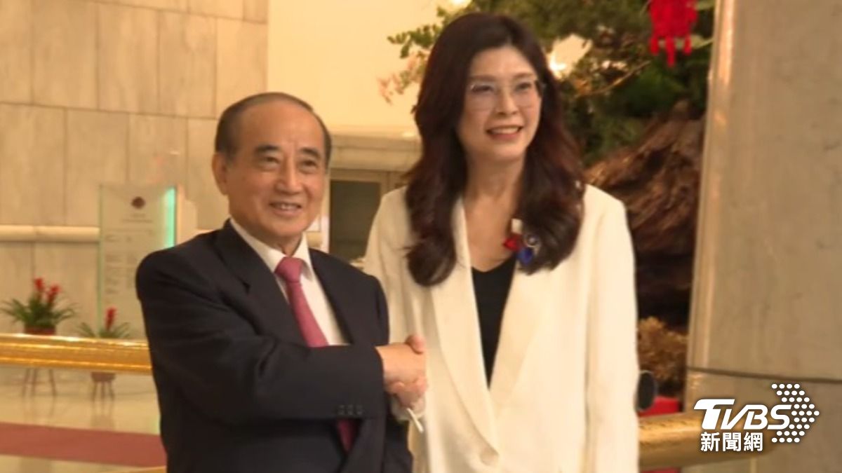 王金平與鄭麗文(圖/TVBS資料畫面)