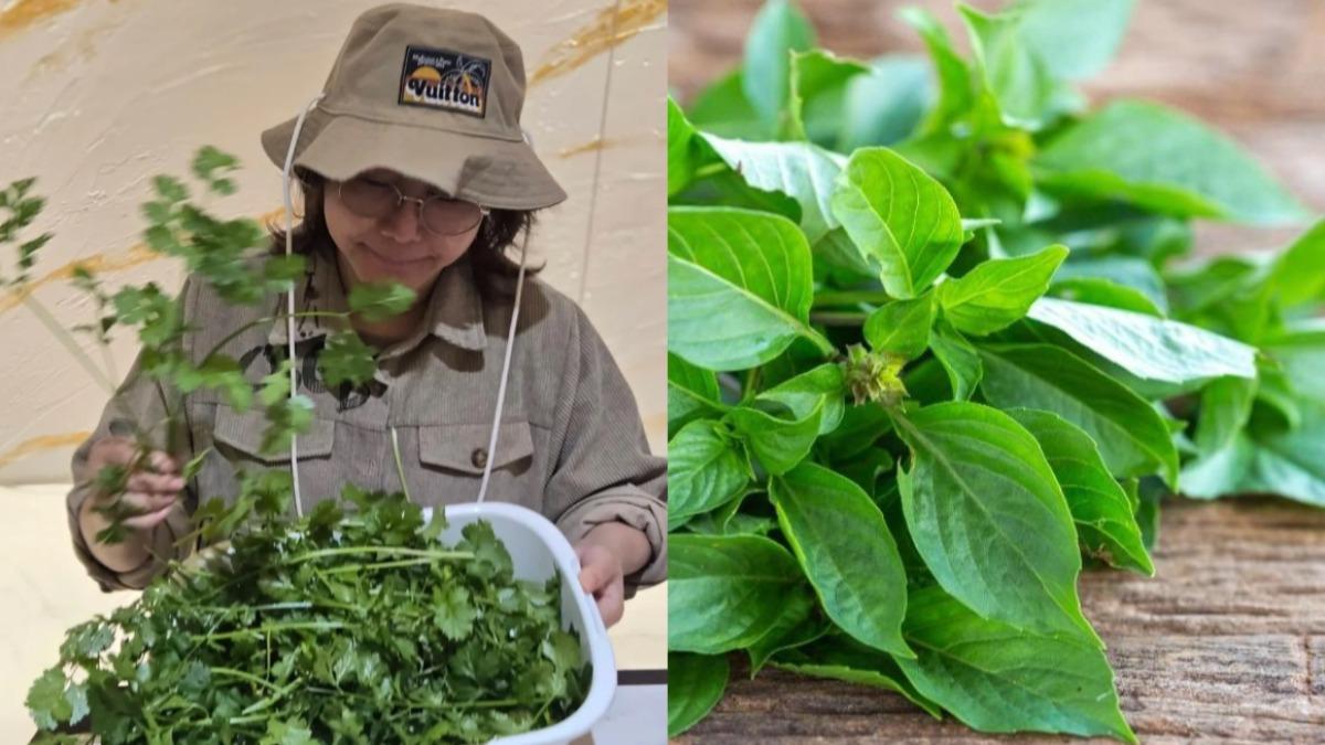 常見1植物是「失眠剋星」！藍心湄公開私房助眠法：真的很好睡