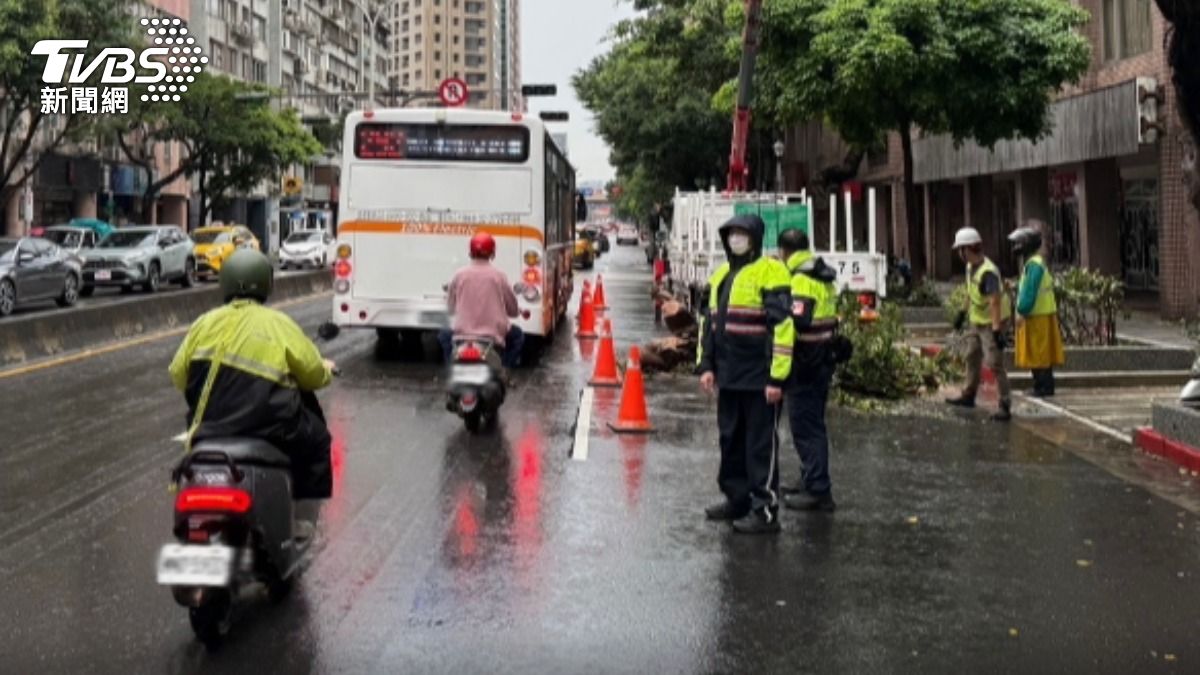 台北市基隆路有路樹倒塌,占據兩車道還導致一起事故。(圖/TVBS)