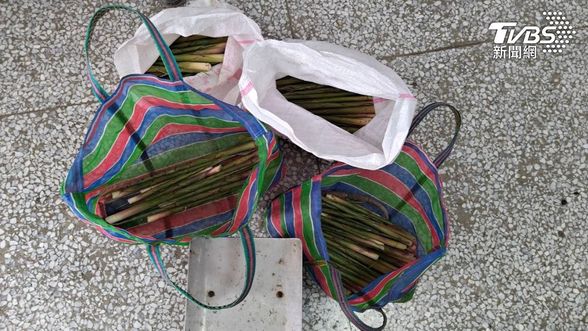 箭筍帶殼1斤飆500元遭覬覦，賊2次偷筍遭逮。（圖／TVBS）