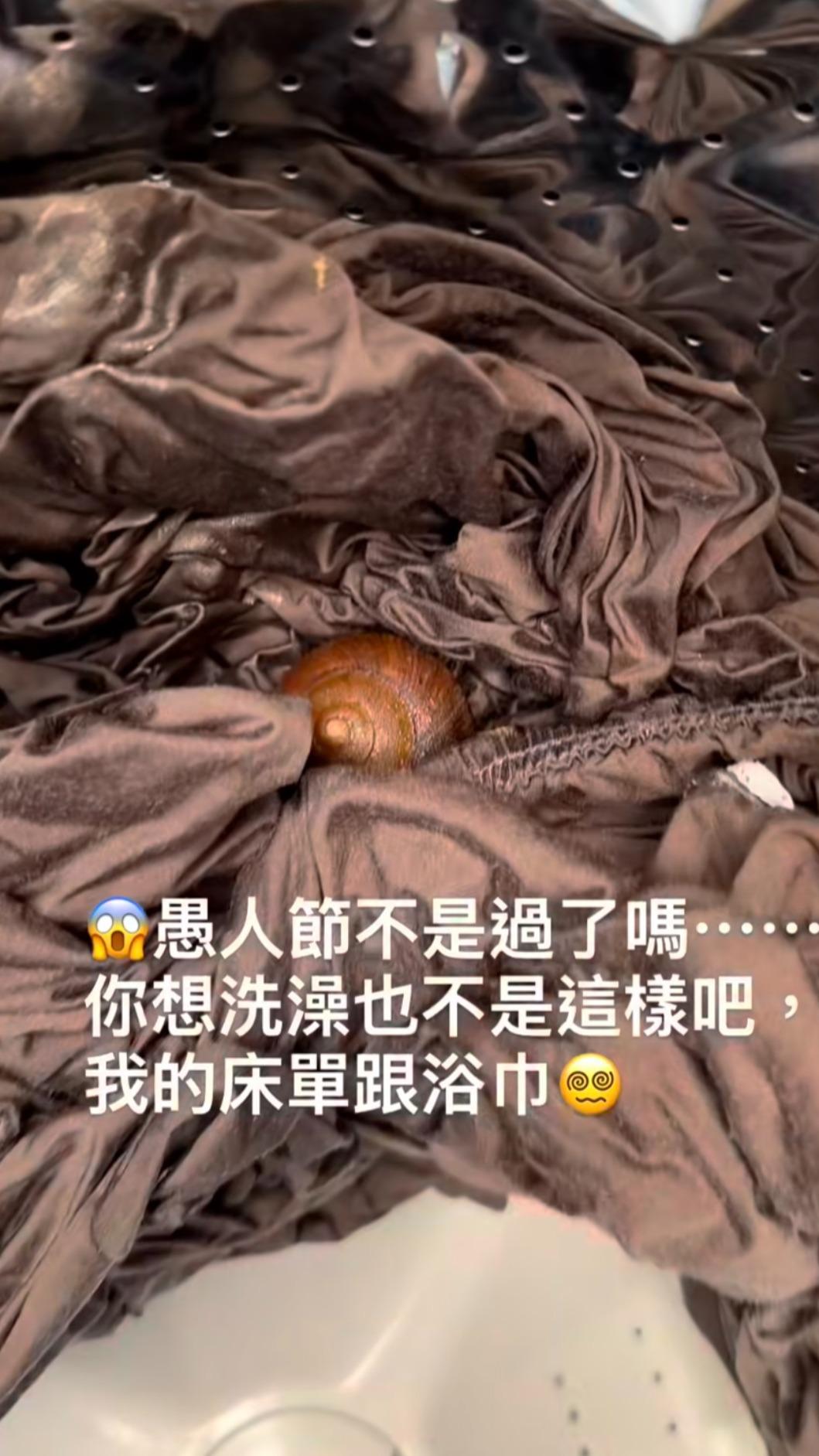阿弟被蝸牛嚇傻,直呼愚人節已經過了。(圖/翻攝自阿弟IG)