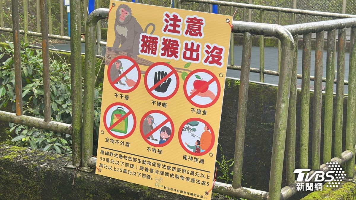 目前海濱里辦公處已緊急張貼「注意獼猴出沒」公告，提醒里民出入加強戒備。（圖／TVBS）