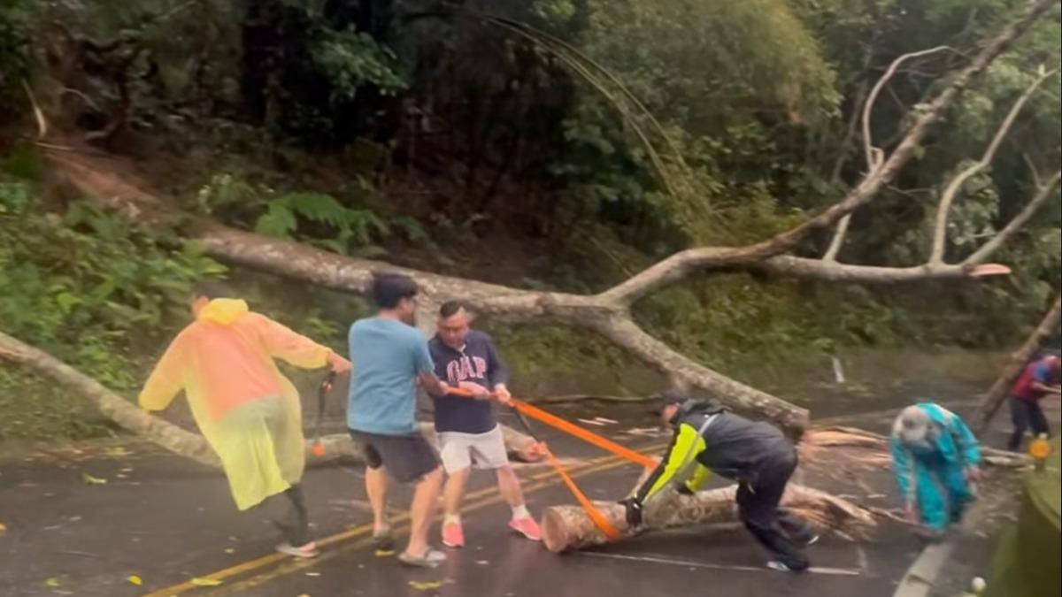 苗栗仙山豪雨樹倒封路!無名英雄冒雨鋸樹 徒手搬運搶通山路