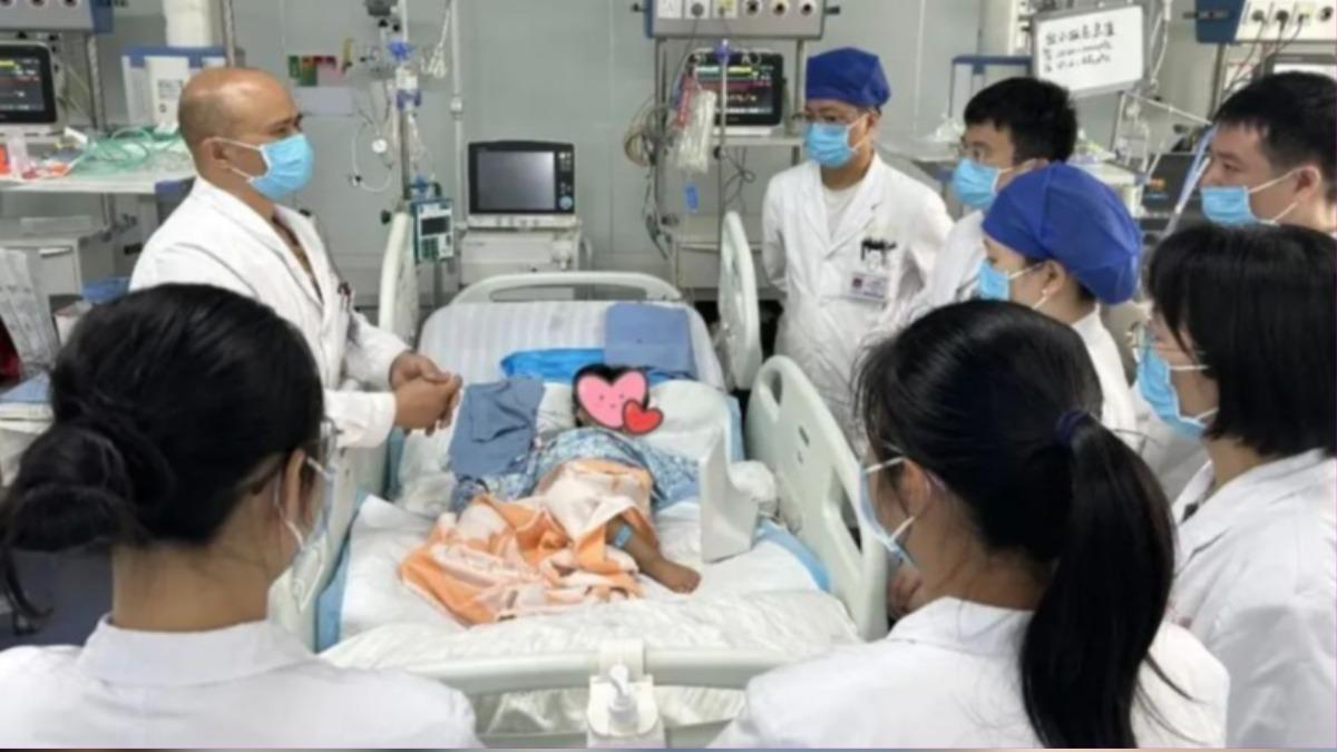 陸3歲女童遭毒蛇咬陷「假死」　花3天確認元凶！奇蹟生還