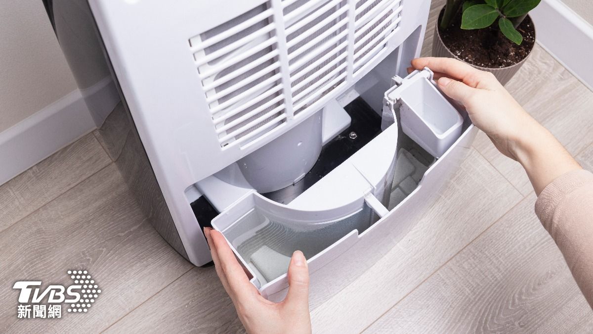 除濕機能否與人共處一室?台電曝關鍵在數字 「配1物」效率更高