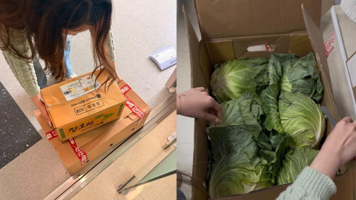 在韓國工作的台灣人團購高麗菜。(圖/在韓台人呂佳蓉提供)