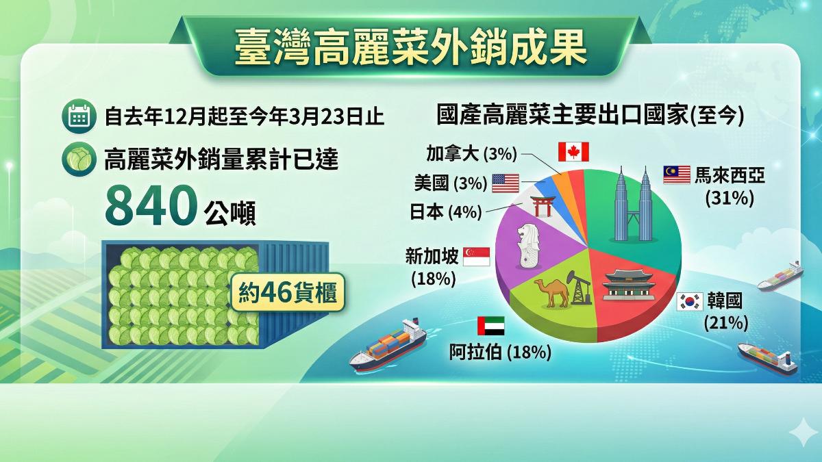 台灣高麗菜外銷多國。(圖表/AI生成)