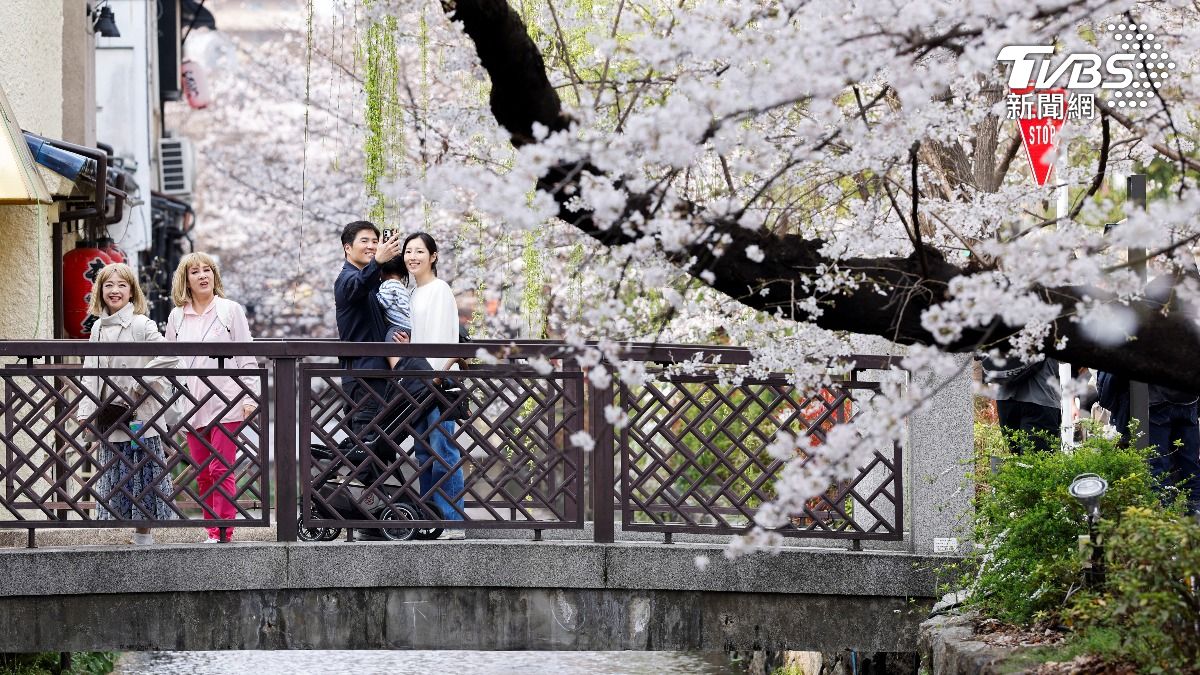 日本部分地區突破25度進入「夏日」等級,櫻花凋謝恐怕加速讓滿開期從一週縮短至3、4天。(圖/達志影像路透社)
