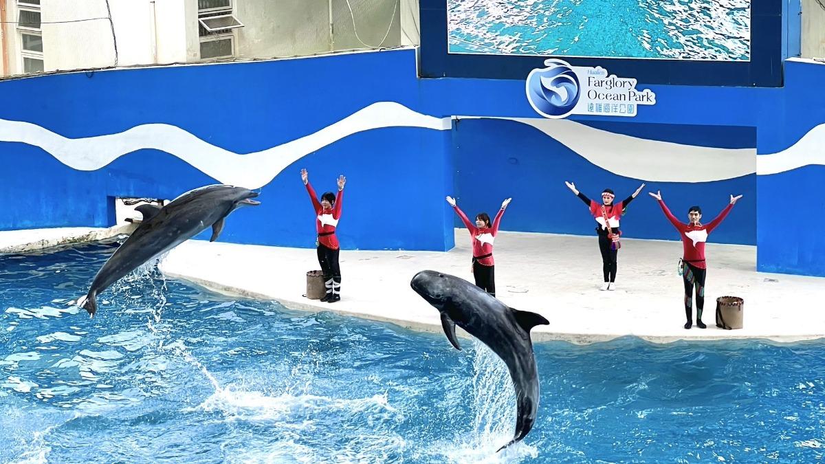 全台唯一以海洋主題打造的大型樂園。(圖/翻攝自遠雄海洋公園臉書)