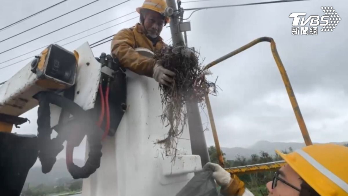 鳥巢因為可能含有金屬物質,擔心造成短路,台電巡檢班人員都會趁雨季來臨前清除。(圖/TVBS)