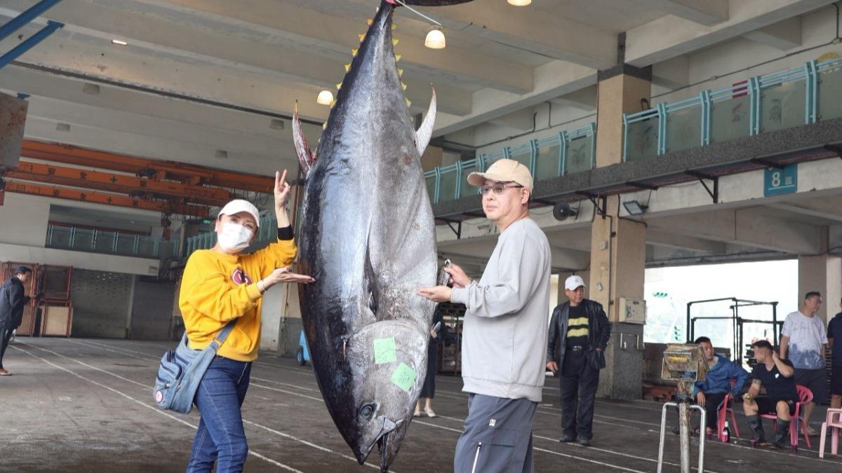 蘇澳第一鮪呼之欲出 250公斤黑鮪活魚拚返港驗證