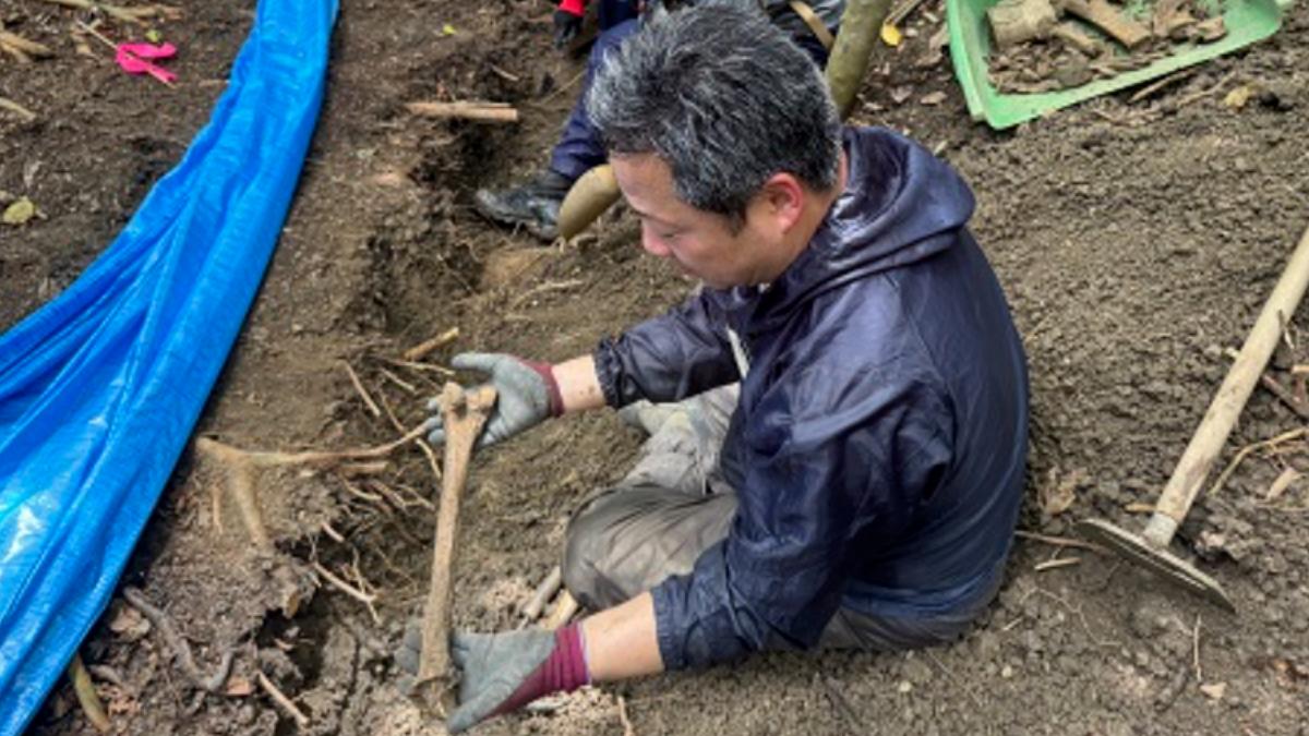 沖繩山林驚現50具集體遺骨!手榴彈未爆彈滿地 疑為二戰日軍