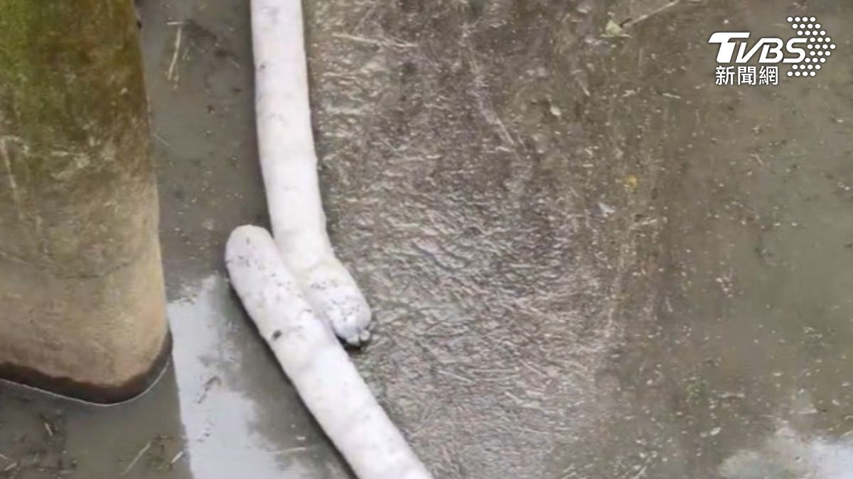 不法商人直接將處理船舶廢油廢水排入河川,嚴重污染了下游的自來水供水系統。(圖/TVBS)