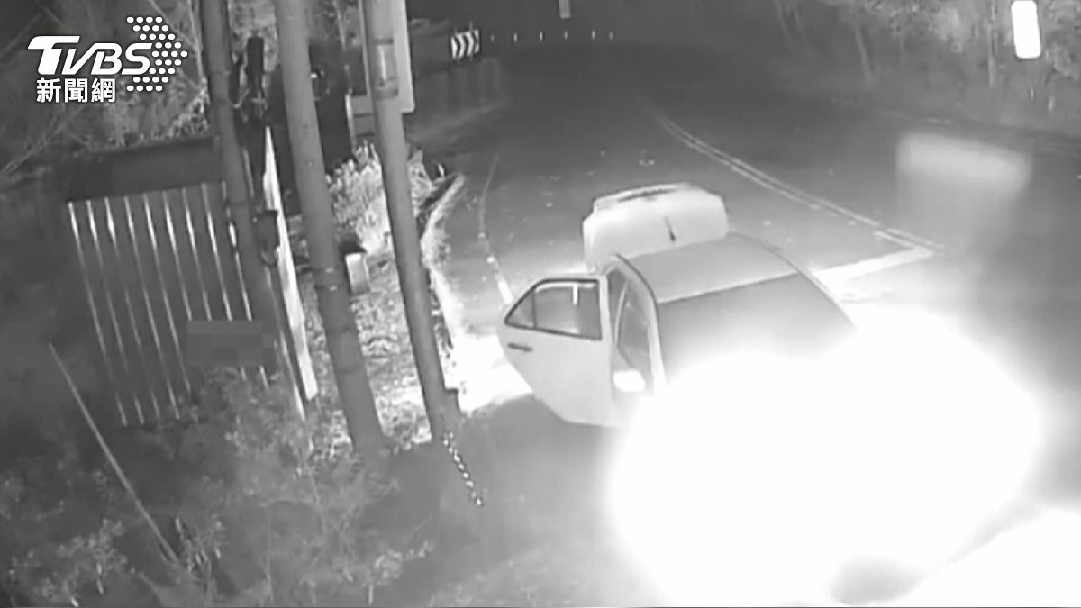 監視器全拍下!山老鼠「揹木徒步」盜伐扁柏 進口車山下接應。(圖/TVBS)
