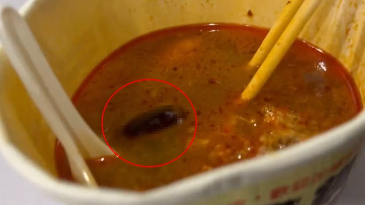 食安連環爆! 嘉市小火鍋吃到小強 高雄春捲案業者恐賠逾5千萬